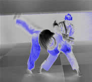 Allenamento al combattimento reale Allenamento al combattimento reale